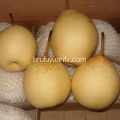 ভাল স্বাদ এবং Ya PEAR এর ভাল মানের